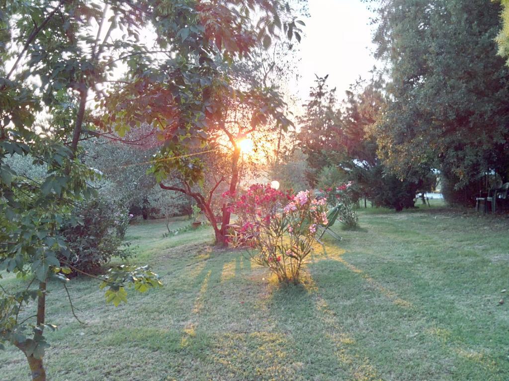 Agriturismo La Torre Di Monsindoli Σιένα Εξωτερικό φωτογραφία