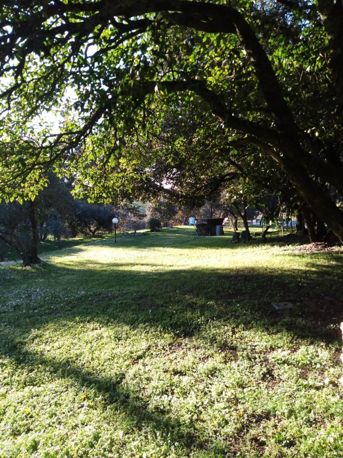 Agriturismo La Torre Di Monsindoli Σιένα Εξωτερικό φωτογραφία